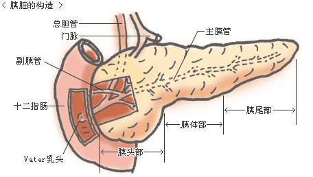 中西医结合治疗胰腺癌
