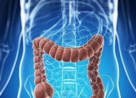 每天吃梨对预防结直肠癌、稳定血压有好处,可