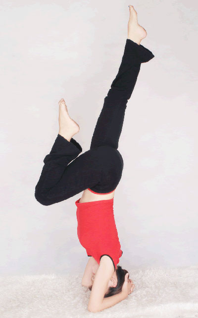 图片来源:http://health.online.sh.cn/health/gb/images/2007-04/13/xin_34040413144334300242.jpg